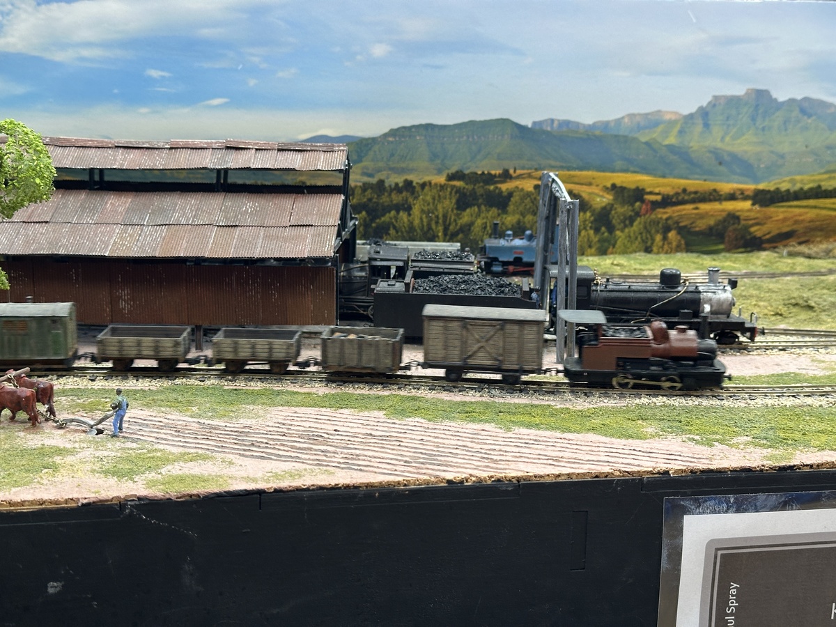 Goods train passes Harding locomotive depot